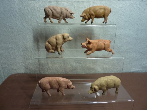 Schweine von elastolin - elastolin, und