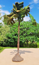 URALTE PALME MASSE DRAHT FILZ