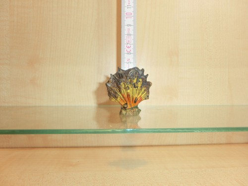Ay006 elastolin kleine - ay006),